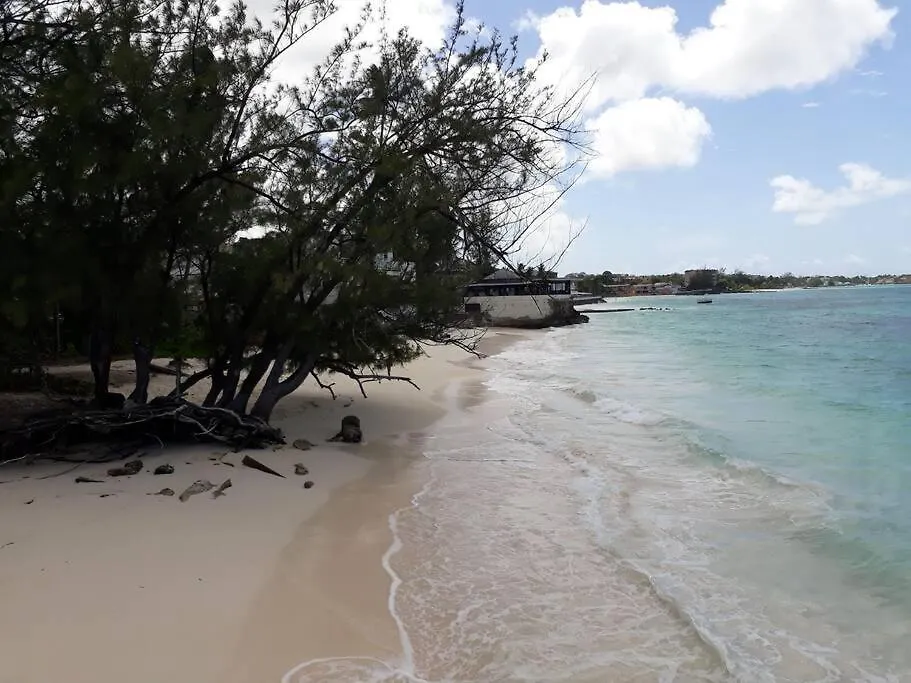 Apt Turtle Beach Your Home At The Beach Christ Church Barbados