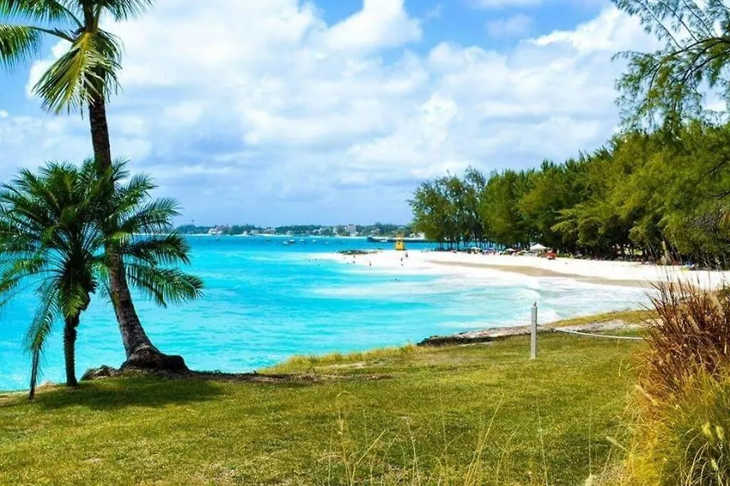 Apartment Apt Turtle Beach Your Home At The Beach Christ Church