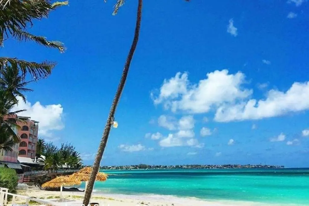 Apt Turtle Beach Your Home At The Beach Christ Church 0*,